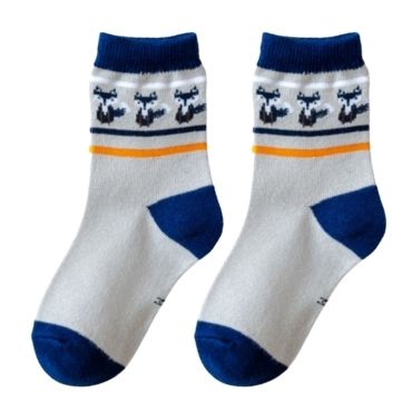 Bulk Kids Socks - Squirrel Cotton Grew